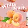 LINE_NOTE_250806_16 GENESIS 創世紀-系列小煙油30ml 30%