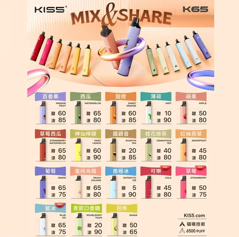 KISS 鎧斯 雙味磁吸 6500口 一次性主機