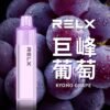 REXL GA8000口<br> 一次性主機 REXL GA8000口 一次性主機