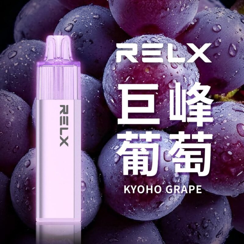 REXL GA8000口<br> 一次性主機 REXL GA8000口 一次性主機
